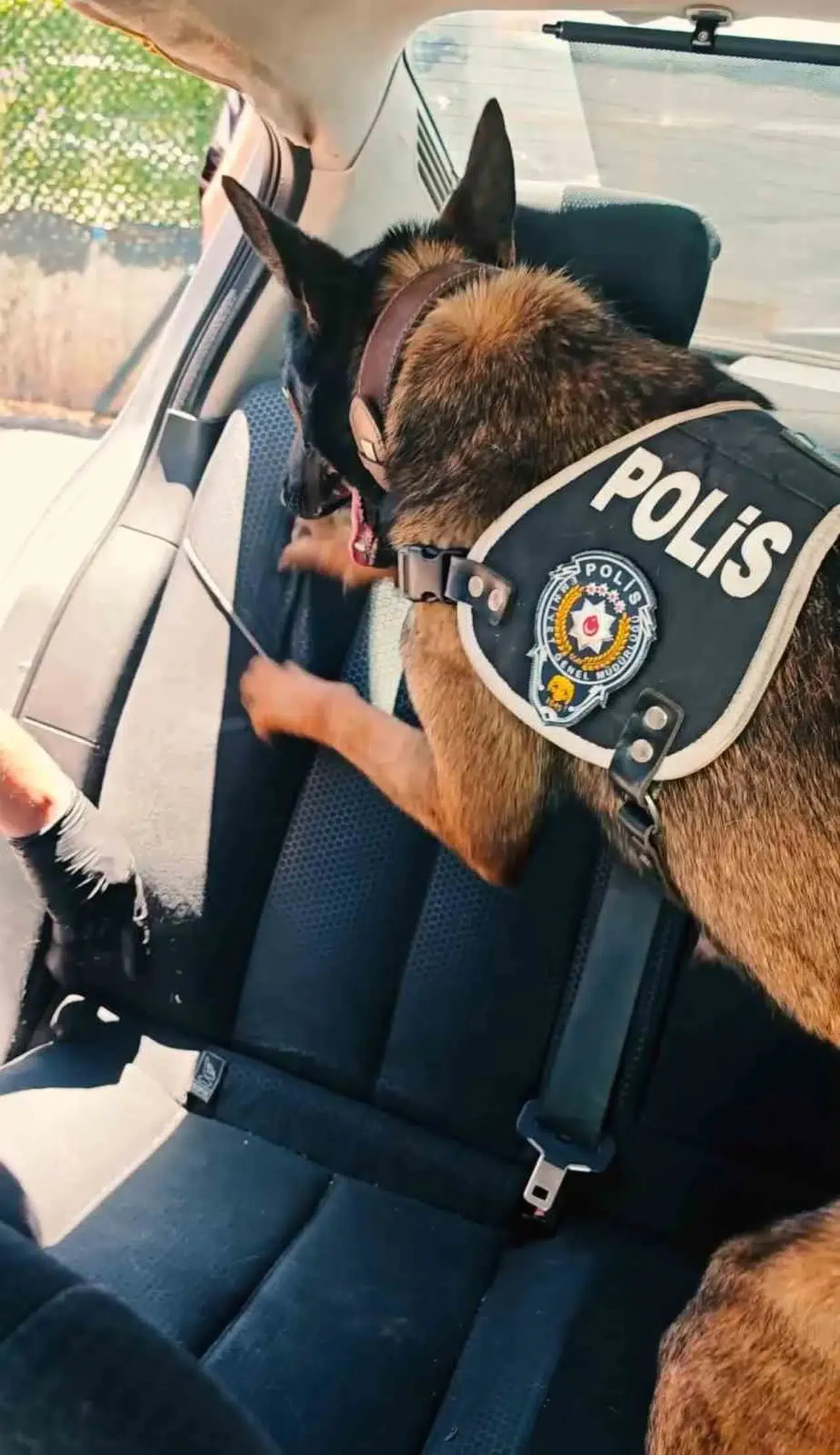 Muş’ta polisten uyuşturucu operasyonu