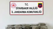 Diyarbakır jandarmasından geniş çaplı uyuşturucu operasyonu