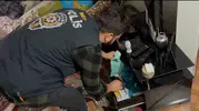 Diyarbakır merkezli yasa dışı bahis operasyonu: 51 gözaltı