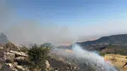 Hazro ilçesinde çıkan örtü yangını kontrol altına alınarak söndürüldü