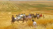 Silvan'da feci kaza! Otomobil tarlaya uçtu, 5 yaralı