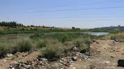Dicle Nehri kıyısındaki plastik atıklar doğaya ve canlılara zarar veriyor