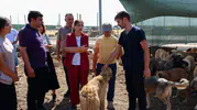 Eşbaşkan Bucak, Doğal Yaşam Alanı’ndaki canlıları inceledi