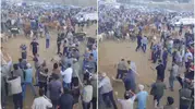 Diyarbakır’da hayvan borsasında sopalı kavga: Çok sayıda yaralı