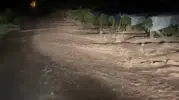 Elazığ'da sağanak yağış üzüm bağlarını sular altında bıraktı