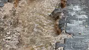 Mazıdağı ilçesinde şiddetli yağış yolları kullanılamaz hale getirdi