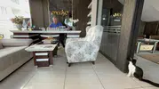 Batman'da bir matbaa kapılarını sokak kedilerine açarak yuva oldu
