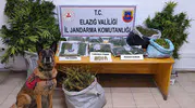 Elazığ kırsalında uyuşturucu operasyonu düzenlendi