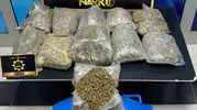 Siirt'te narkotik operasyonu: 5 kilo 700 gram skunk ele geçirildi