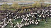 Göçerlerin Van’dan Siirt’e zorlu dönüş yolculuğu başladı