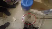 Diyarbakırda demir profile sıkışan yavru kedi itfaiye ekiplerince kurtarıldı