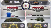 Elazığ'da uyuşturucu operasyonlarında 12 kişi tutuklandı