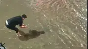Batman sağanak yağışla sular altında kaldı