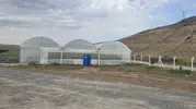 Cizre'de devlet destekli seralar tarımsal üretimi güçlendiriyor