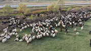 Van ve Bitlis yaylalarından göçerlerin zorlu dönüş yolculuğu başladı