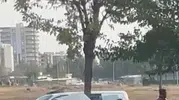 Siverek yolunda kontrolden çıkan otomobil ağaca çarparak ikiye bölündü