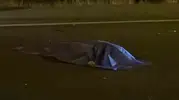 Tunceli Pertek karayolunda meydana gelen trafik kazasında bir kişi yaşamını yitirdi
