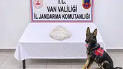 Van'da yolcu otobüsünde yakalanan şüpheli tutuklandı
