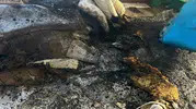 Gevaş ilçesinde bir evde çıkan yangın korku dolu anlar yaşattı