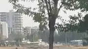 Siverek yolunda kontrolden çıkan otomobil ağaca çarparak ikiye bölündü