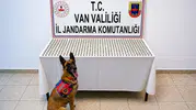 Van sınırında mide bulandıran uyuşturucu operasyonu