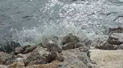 Van Gölü sert rüzgarla çalkalandı