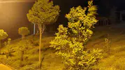 Elazığ geceyi fırtınayla geçirdi