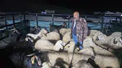 Elazığ kurban pazarında uykusuz nöbet