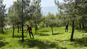 Şırnak Belediyesi park ve mezarlıklarda bahar temizliğine başladı