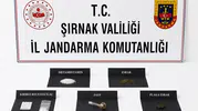 Şırnak genelinde büyük kaçakçılık operasyonu