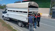 Elazığ yollarında kurbanlık hayvan sevkiyatına yakın takip