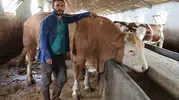 Elazığ’da devasa tosun bayram pazarına damga vurdu