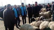 Çaldıran pazarında kurban rehberliği dönemi