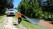 Elazığ sokaklarında haşereye karşı gece gündüz mesaisi