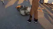 Bingöl yolunda gece vakti kaza