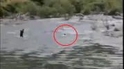 Bingöl’de serinlemek için girdiği çayda kaybolan adam aranıyor
