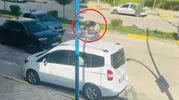 Ergani yolunda eşek trafiği kilitledi