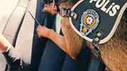 Muş’ta polisten uyuşturucu operasyonu