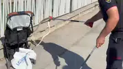 Şanlıurfa'da mesire alanında korku dolu anlar