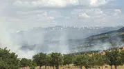 Bingöl Gökçeli'de orman yangını korkuttu
