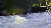 Bingöl’de nehre düşen kişi akıntıya kapılarak kayboldu