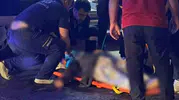 Kızıltepe kara yolunda trafik kazası 78 yaşındaki kadın hayatını kaybetti