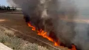 Suruç'ta 30 dönüm arpa tarlası küle döndü