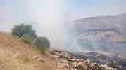 Mardin Yeşilli’de orman yangını başladı