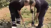 Nusaybinli vatandaşlar kuyudaki yılanı kurtardı