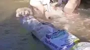 Yüksekovalı çiftçiler tarlalarını sulamak için dere yatağına set kuruyor