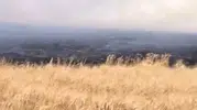 Kızıltepe'de 500 dönüm buğday alevlere teslim oldu