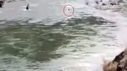 Bingöl’de çaya giren genç akıntıya kapılarak gözden kayboldu