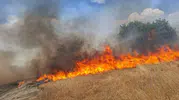Diyarbakır genelinde beş ilçede birden yangın alarmı