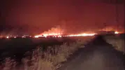 Silopi’de geceyi aydınlatan yangın 300 dönümü yuttu